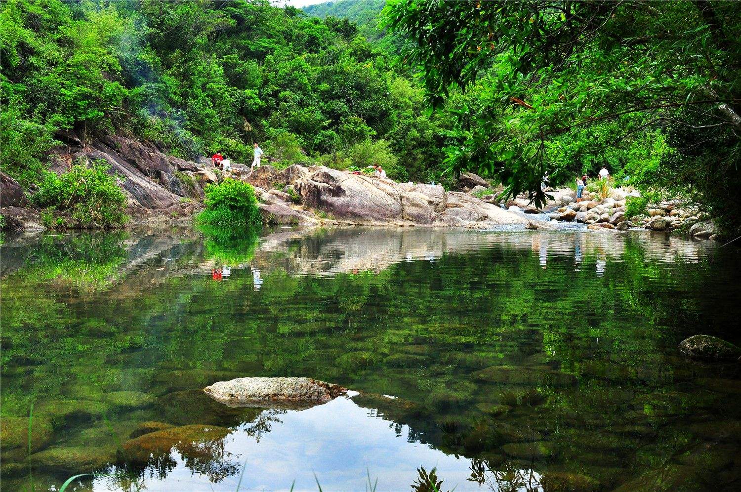 讲解！惠州象头山“夏花依旧”