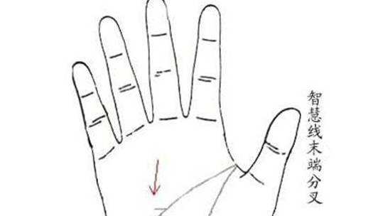 讲解！手掌相学“雁过留声”