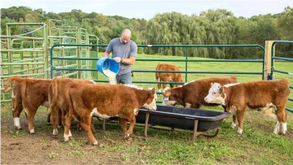 讲解！海参崴租期99年“夏花依旧”