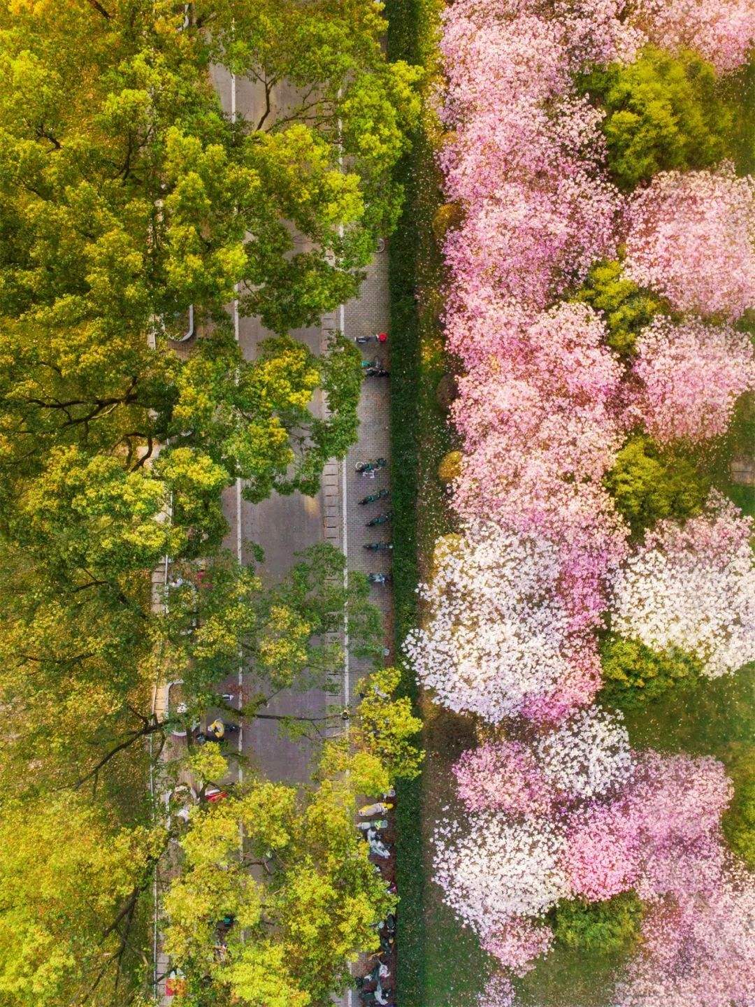 讲解！定位别人手机具体位置不被对方发现“典则俊雅”