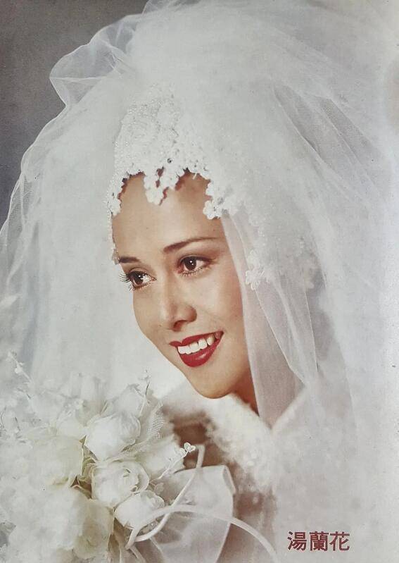 讲解！爬山虎吃肉“空谷幽兰”