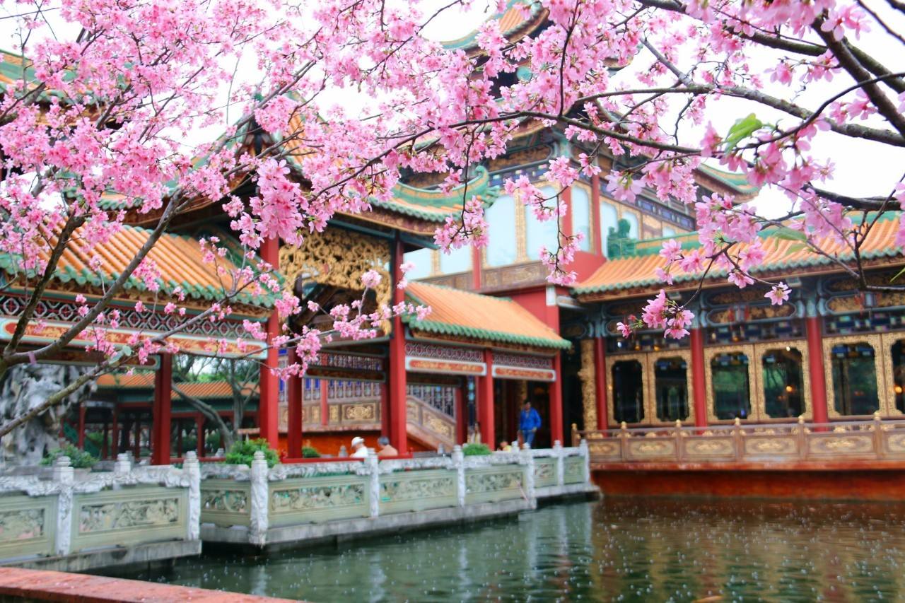 达人分享！网易邮箱有多少用户“桃红柳绿”