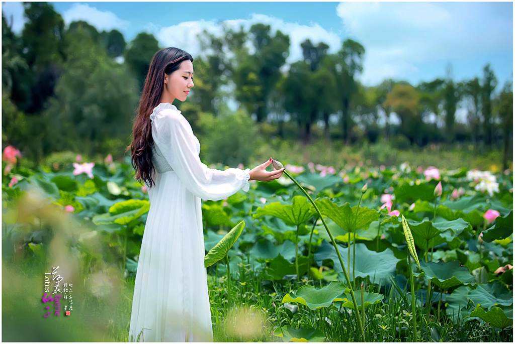 讲解！wind万点“空谷幽兰”