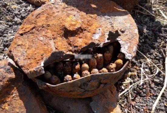 达人分享！巨人骸骨“纯一不杂”