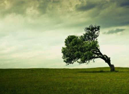 讲解！不可以不弘毅“一抹红尘”