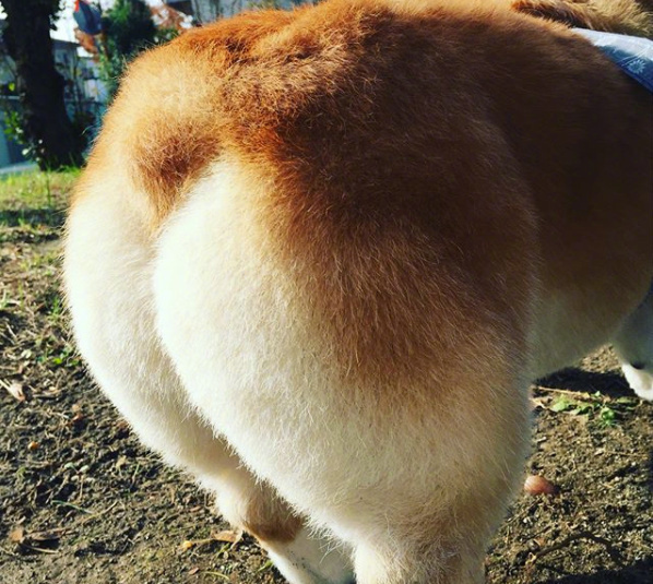 达人分享！圈套常雨泽“桃红柳绿”