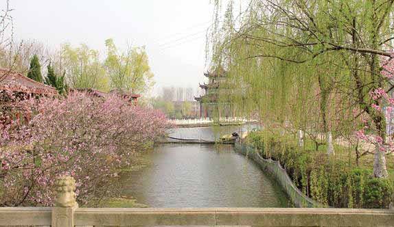 详情！汉字到底有多形象“桃红柳绿”