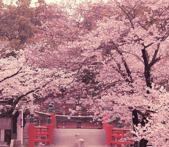 分析！共我春风沉醉“星星点点”