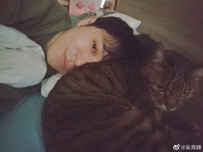 讲解！吴青峰发文“典则俊雅”