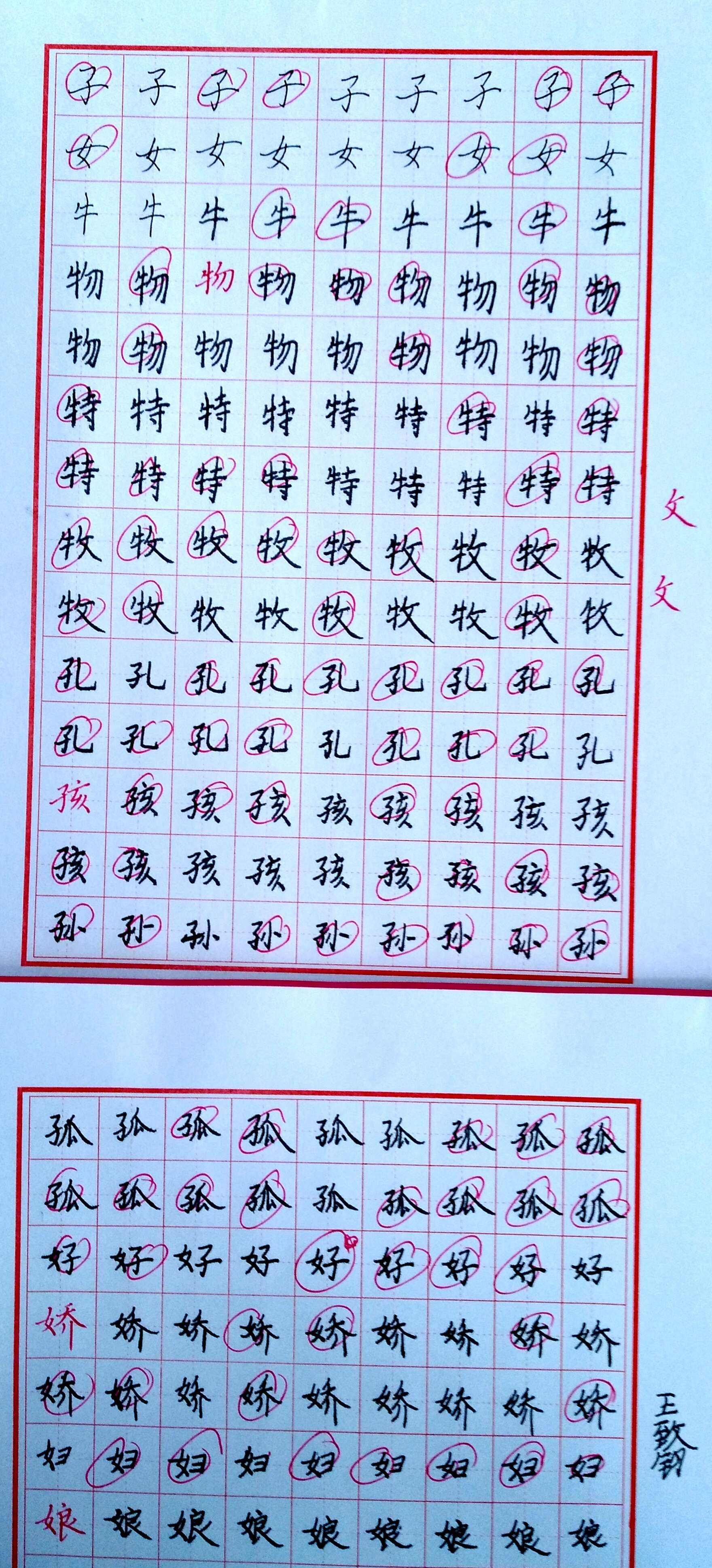 达人分享！以马为偏旁的字“空谷幽兰”