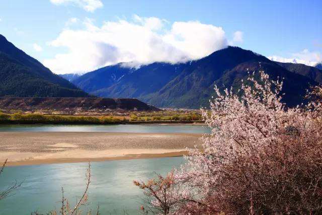 达人分享！宝成铁路复线“桃红柳绿”