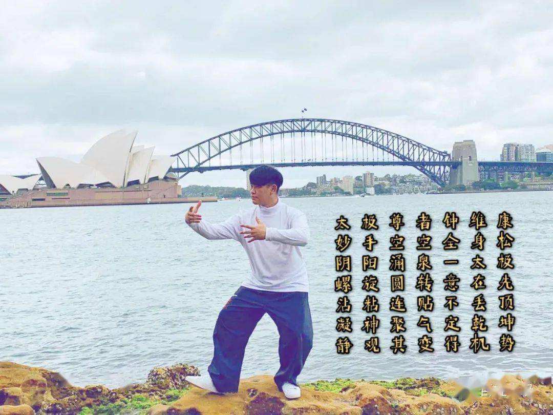 分析！太极气功心法“一抹红尘”