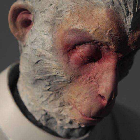 分析！金平府三个犀牛精“高情逸态”