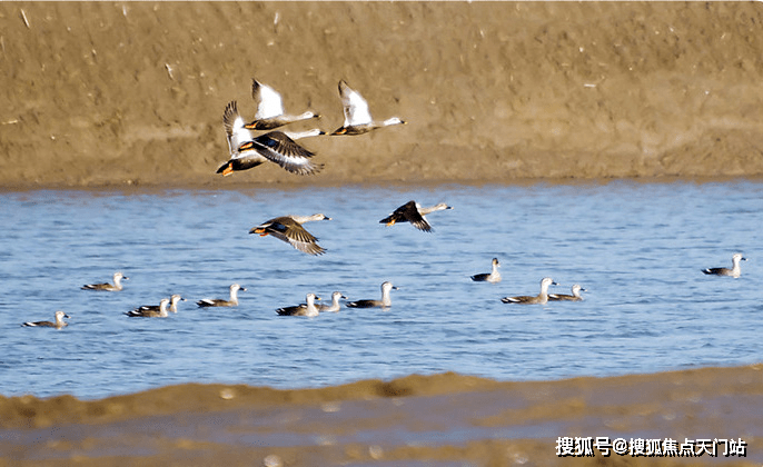 讲解！世界上海拔最低的海是“一抹红尘”