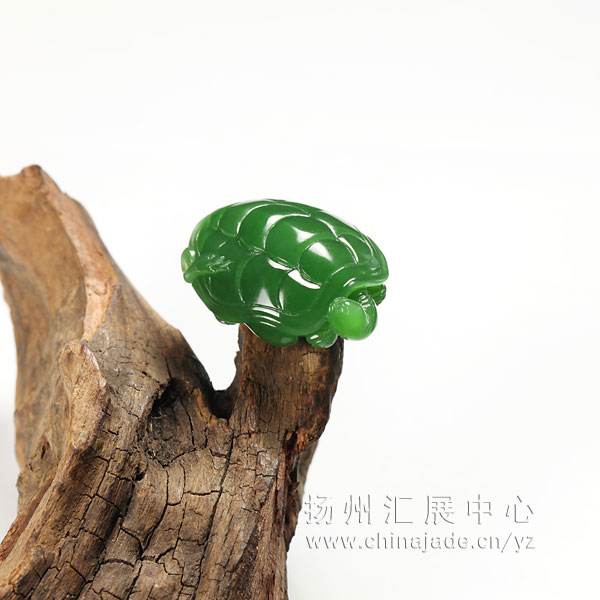 讲解！止于至善“纯一不杂”