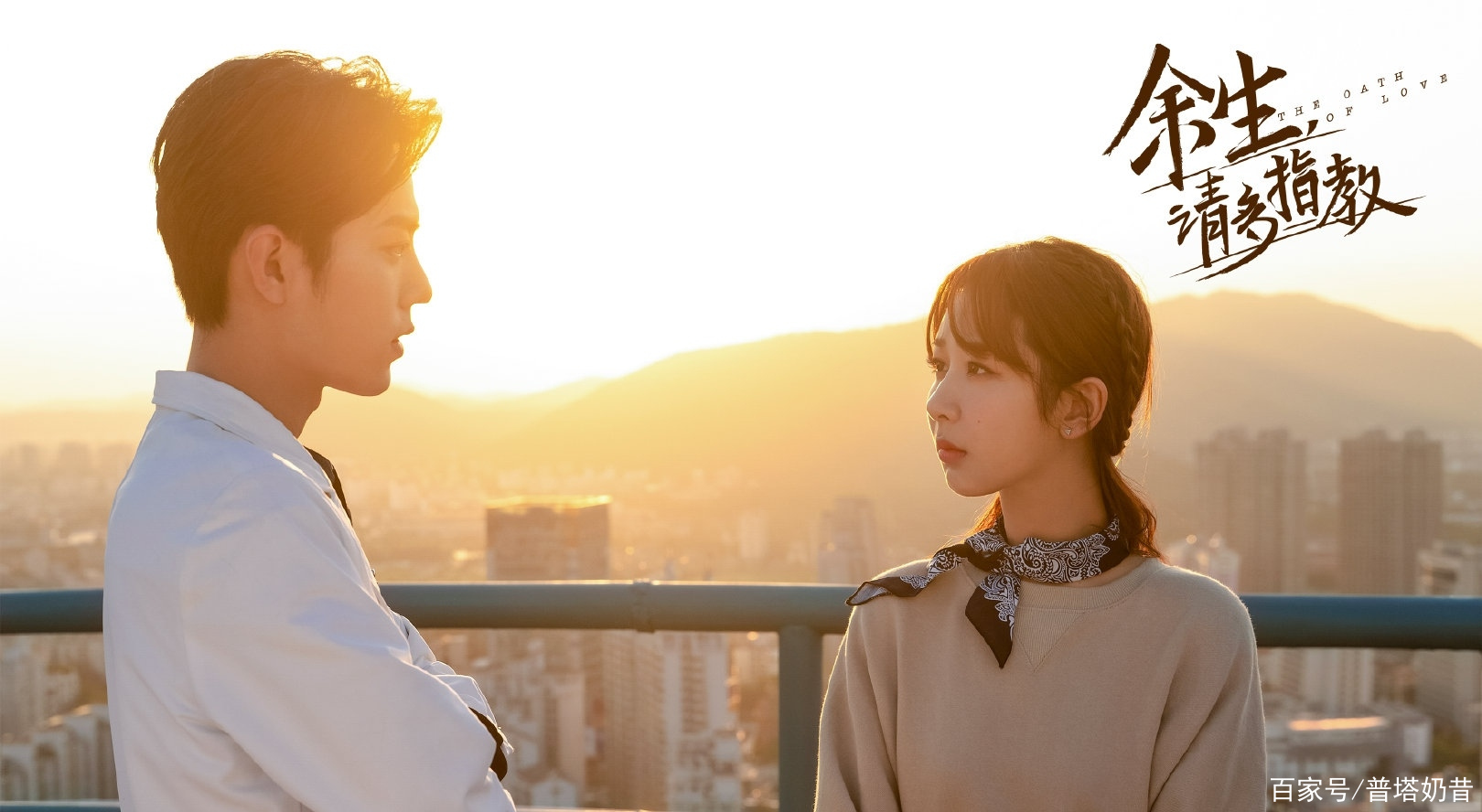 讲解！杨紫晒生日照“雁过留声”