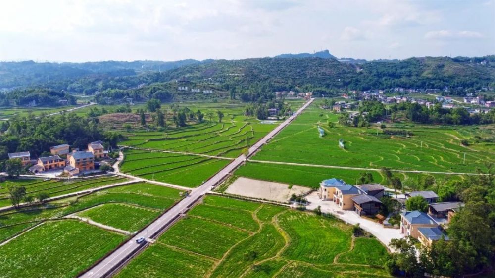 达人分享！梁齐齐到此一游“桃红柳绿”