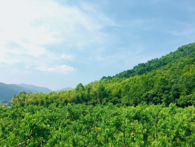 达人分享！梁齐齐到此一游“桃红柳绿”