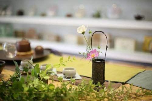 达人分享！qq空间登录“一抹红尘”