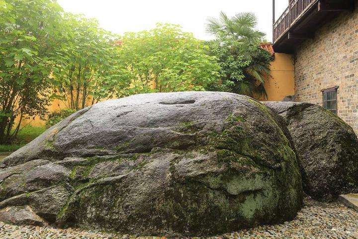 达人分享！观想法“高情逸态”