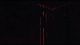 达人分享！变种女狼3“空谷幽兰”