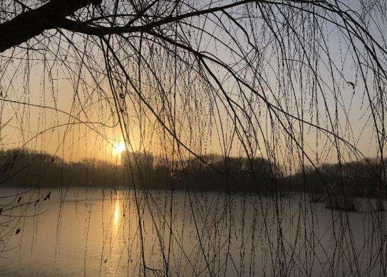 讲解！躲春是什么意思怎么躲2021“郢中白雪”