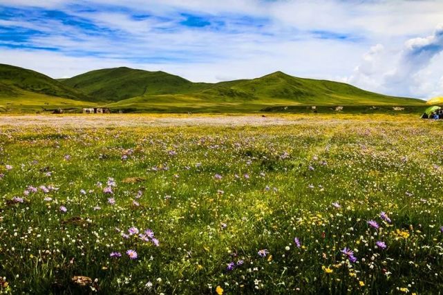 详情！端午节自驾游“夏花依旧”