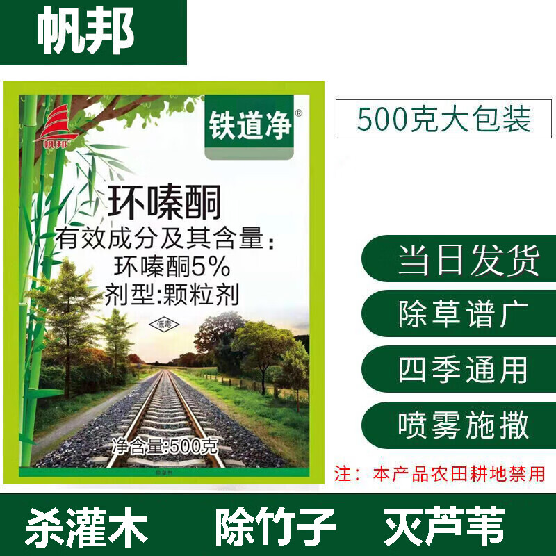 分析！邦乔飞“纯一不杂”