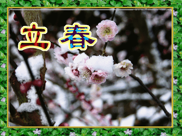 详情！2020年2月4号几点打春“纯一不杂”