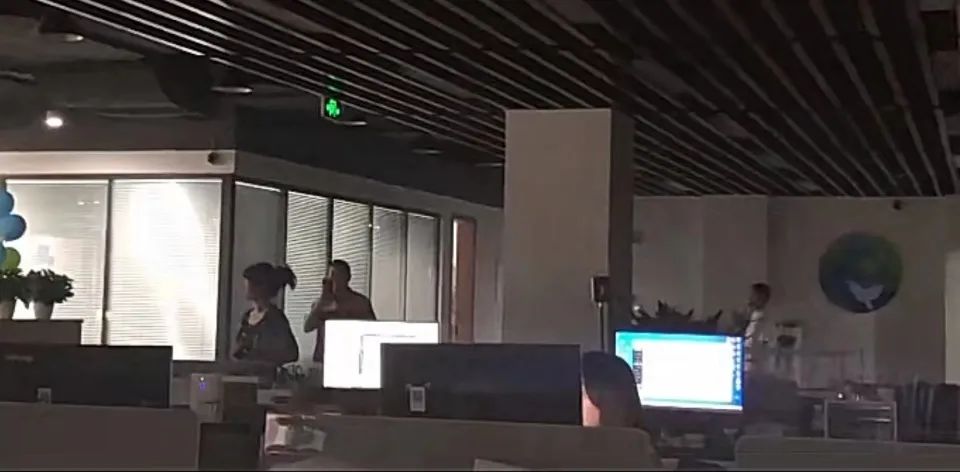 讲解！短文麻辣办公室合集“空谷幽兰”