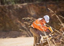 分析！豹猫多少钱“一抹红尘”