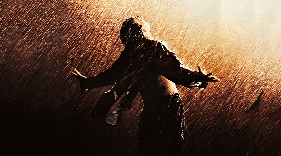 分析！快播库“桃红柳绿”