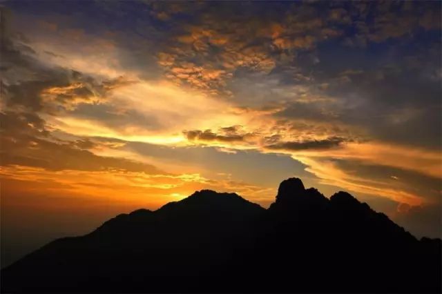 分析！快播库“桃红柳绿”