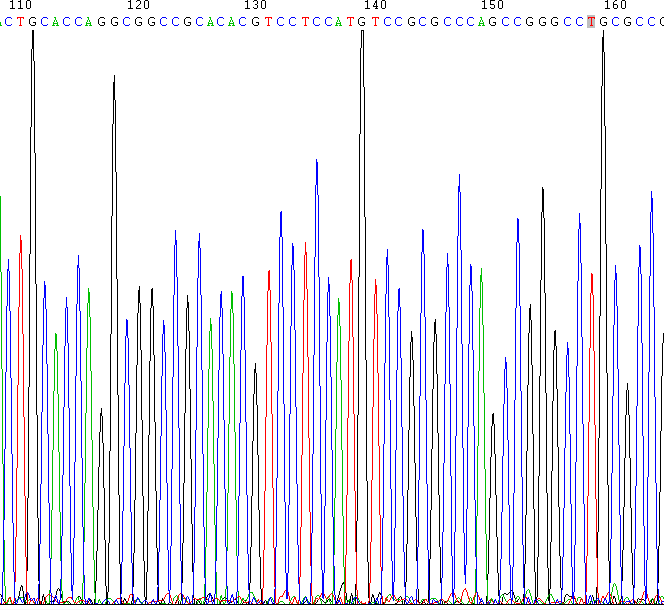 讲解！bd抗体“纯一不杂”