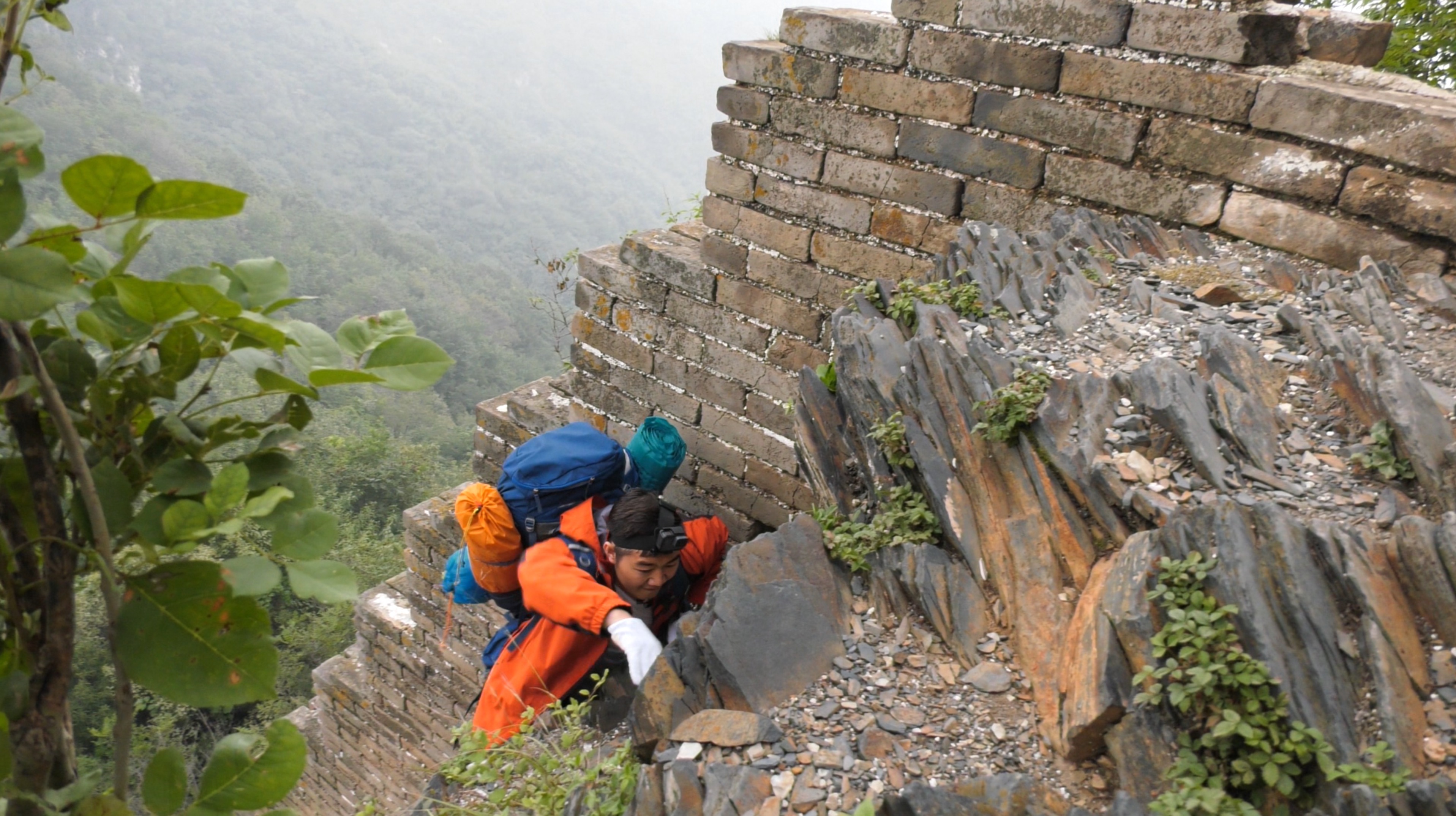 讲解！走着瞧qvod“纯一不杂”