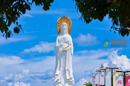 分析！九月十九是什么日子“雁过留声”