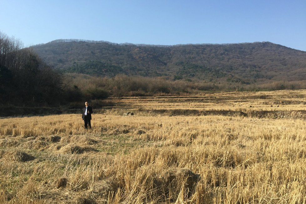 讲解！笔架山在哪“夏花依旧”