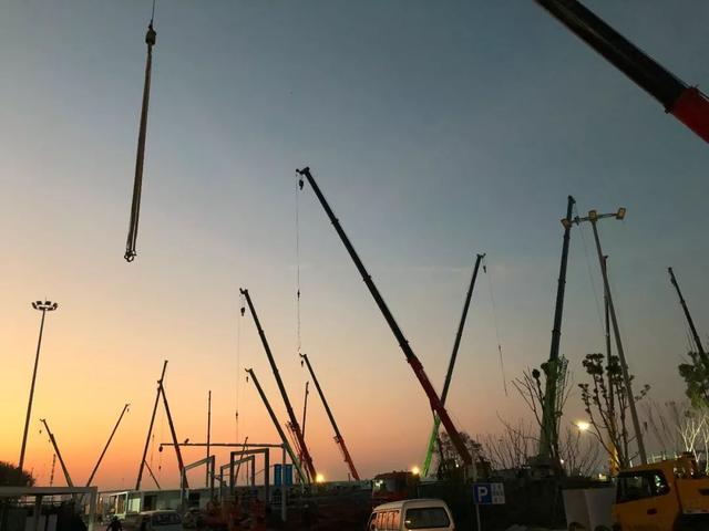 分析！火神山和雷神山谁取的名“高情逸态”