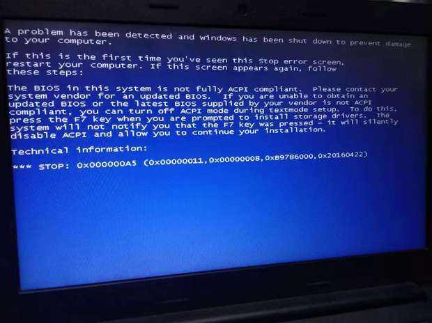 达人分享！最好的xp系统“桃红柳绿”