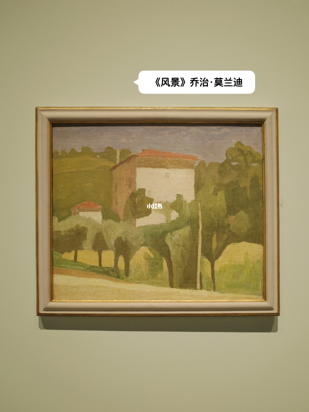 讲解！寻找更好的大麦“空谷幽兰”