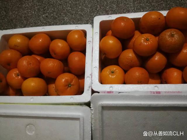 讲解！誓鸟的含义“雁过留声”