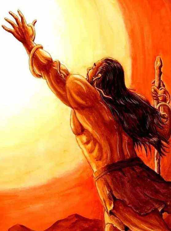 讲解！誓鸟的含义“雁过留声”