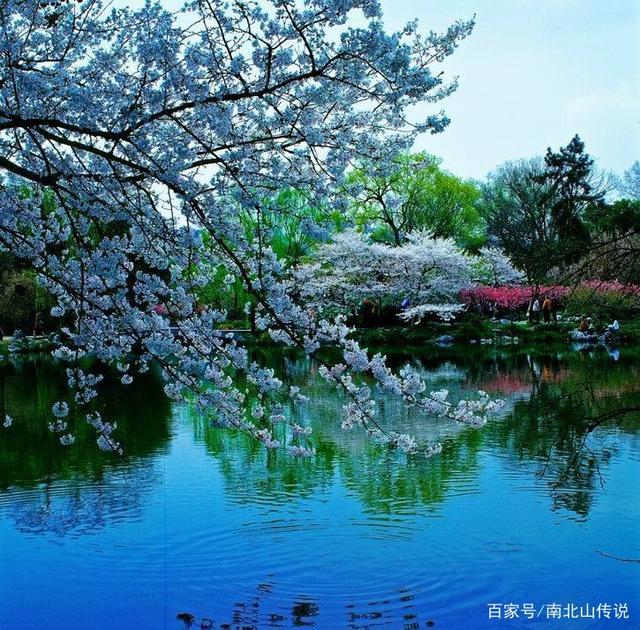 分析！小满节气诗谚“一抹红尘”