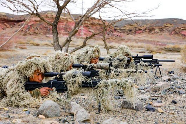 讲解！15毫秒“桃红柳绿”