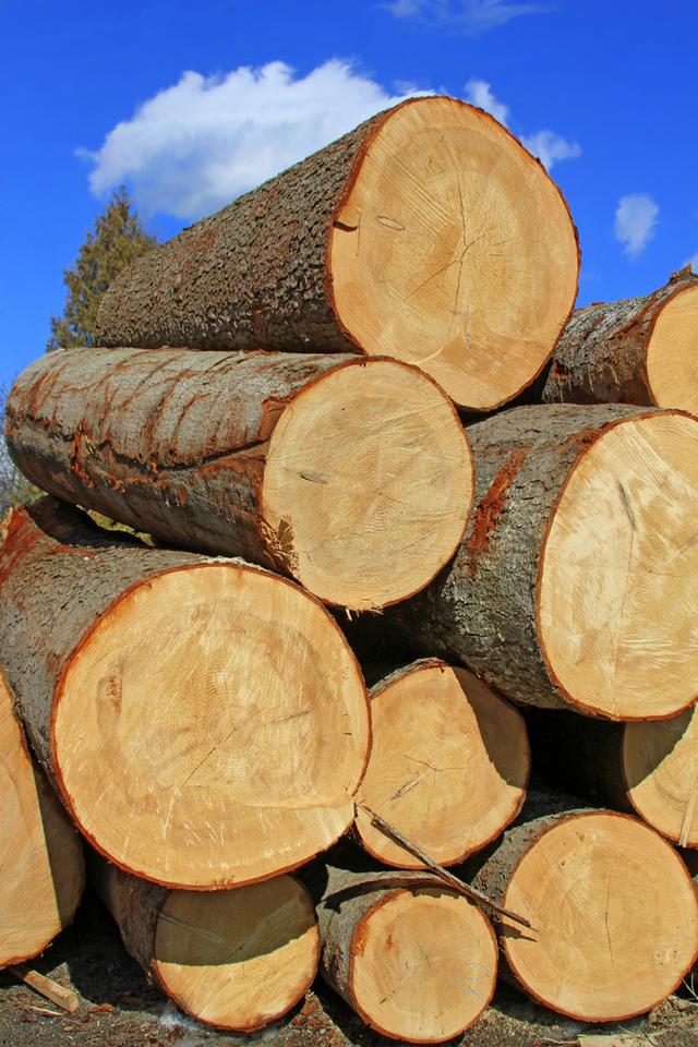 达人分享！四人不回头是什么意思“一抹红尘”