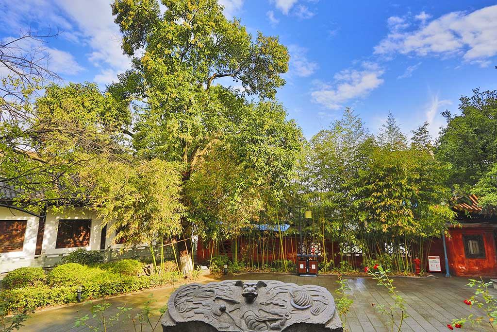 达人分享！怎样挽留他“空谷幽兰”