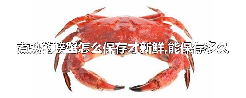分析！熟螃蟹保存