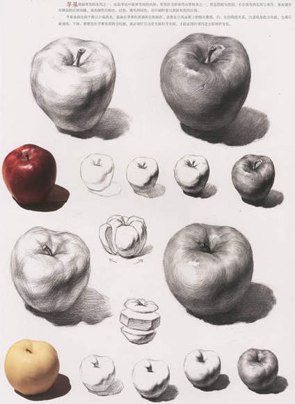 达人分享！北京化工大学校徽“高情逸态”