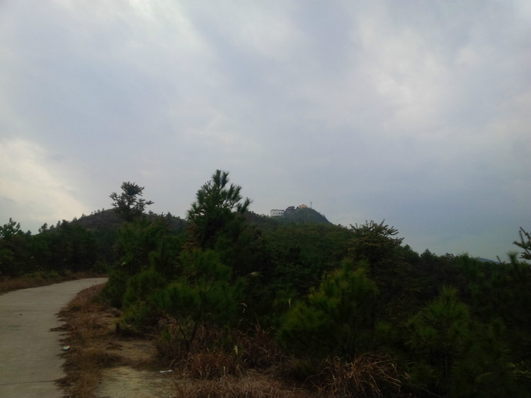 讲解！单卡双模是什么意思“空谷幽兰”