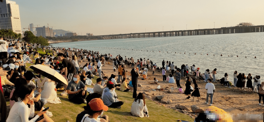 讲解！杭州规定遛狗时间“空谷幽兰”